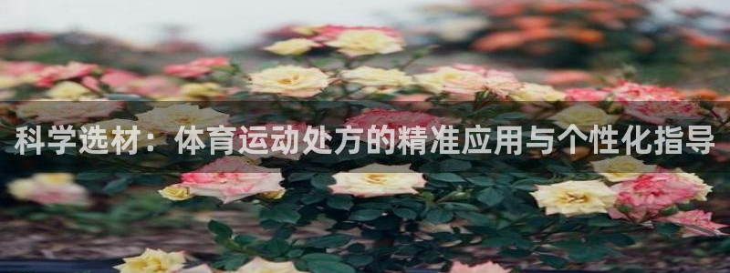 天津绿茵体育公司
