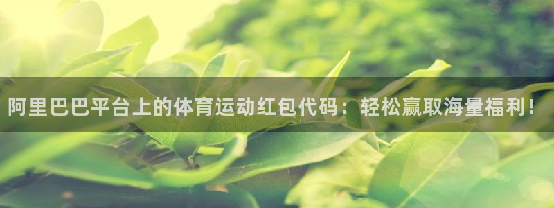 绿茵体育直播9939