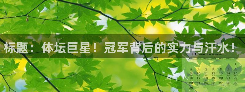 绿茵nba免费直播在线直播：标题：体坛巨星！冠军背后的实力与汗水！
