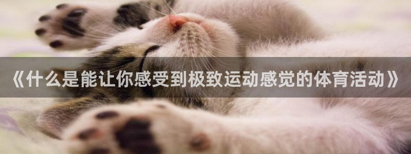 绿茵足球直播免费观看：《什么是能让你感受到极致运动感觉的体育活动》