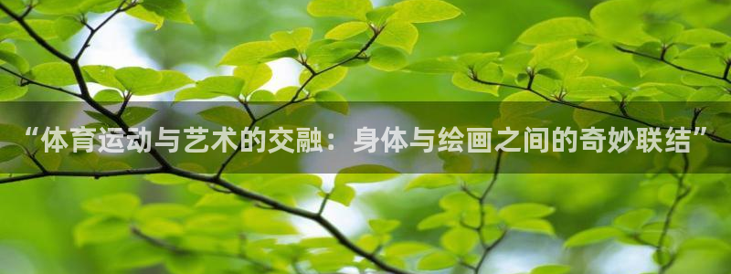 绿茵足球