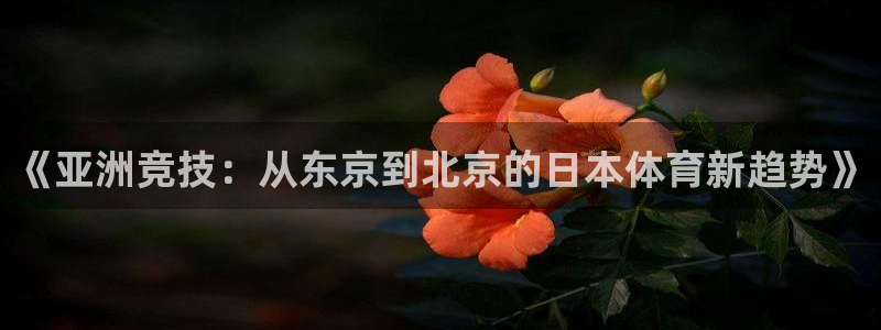 绿茵体育
