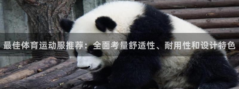 绿茵足球直播免费观看