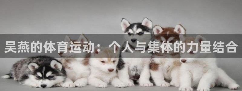 绿茵体育官网入口