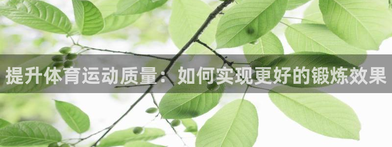 绿茵体育在线高清直播观看：提升体育运动质量：如何实现更好的锻炼效果